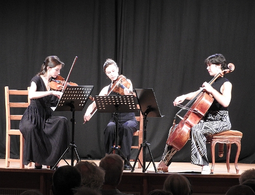 Trio-sypniewski-domme_2