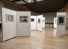 Armance-de-la-Morinerie-domme-2017-2.jpg