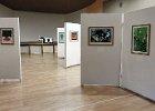 Armance-de-la-Morinerie-domme-2017-3.jpg