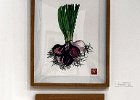 Armance-de-la-Morinerie-domme-2017-9.jpg
